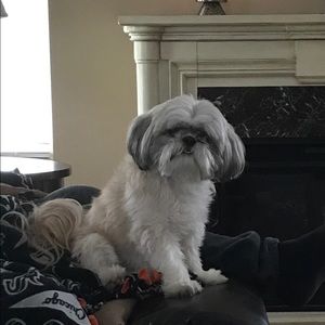 Meet your Posher, Wanda